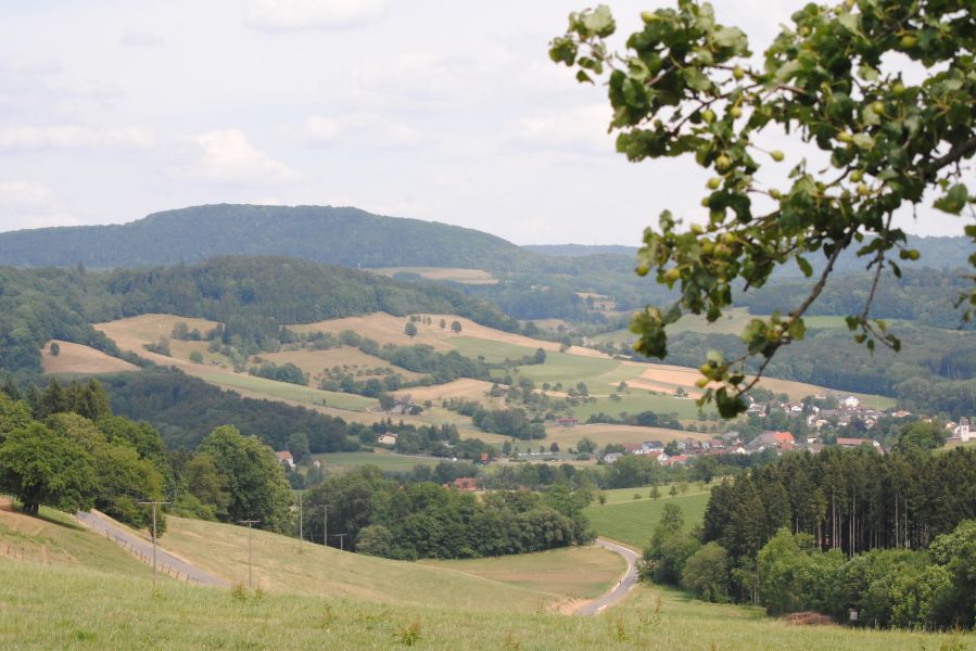 Landschaft