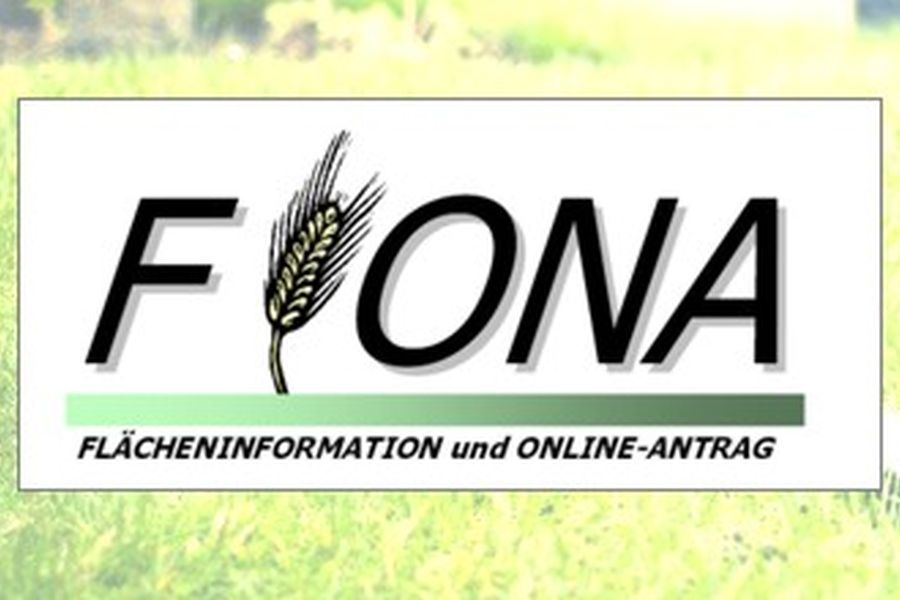Ausfüllen eines Antrages